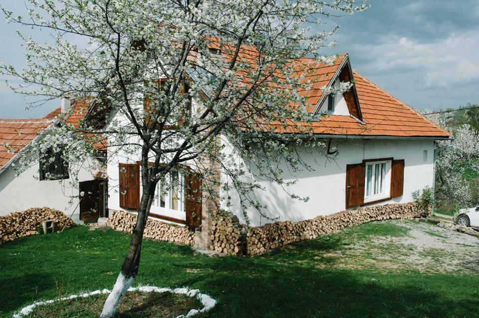 Casa Bunicii - Bran Sohodol Villa Sohodol  Exterior photo
