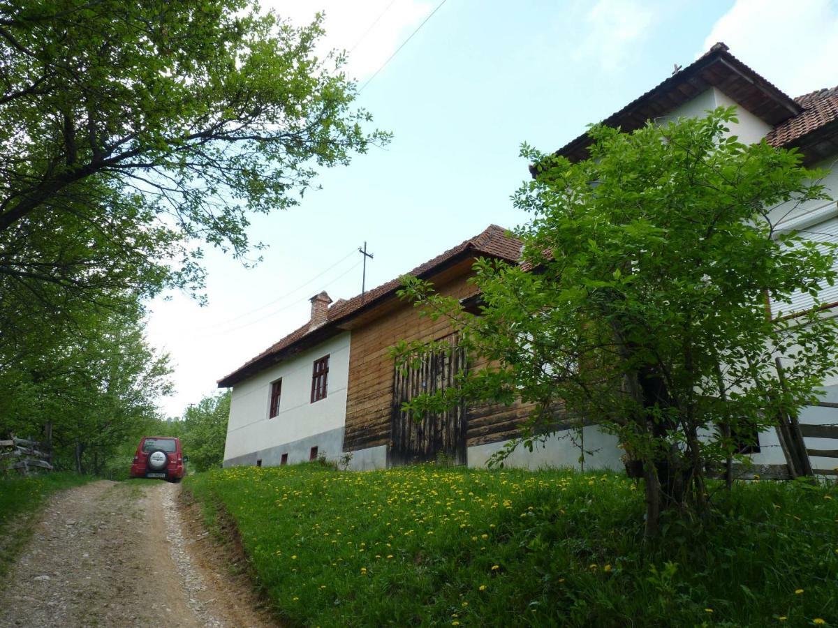 Casa Bunicii - Bran Sohodol Villa Sohodol  Exterior photo
